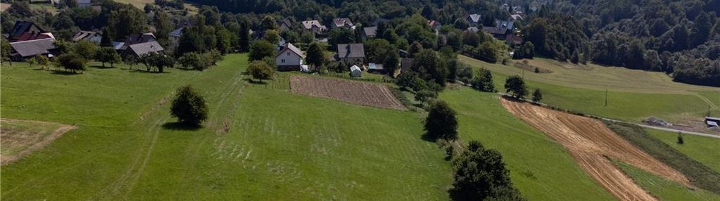 Grunty 5 400 m² – widok, las i działka z wz