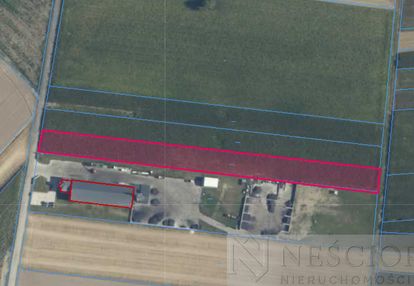 Działka rolna 6098m2, borki-kosy