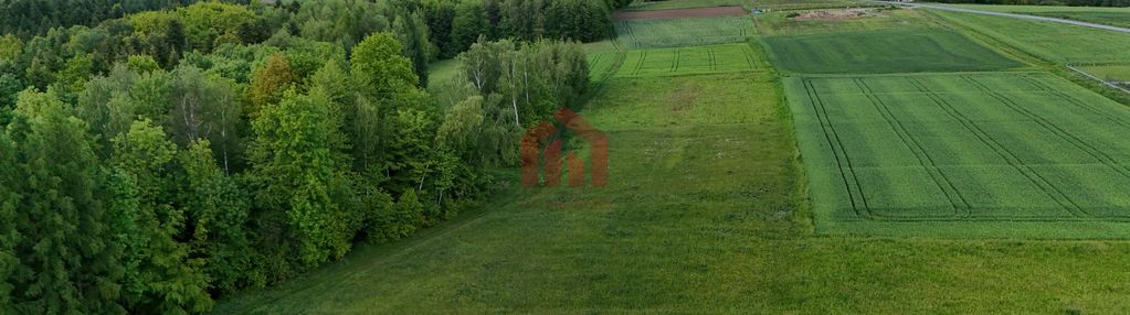 Zapraszam cie na randke z naturą, 29 ar przy lesie