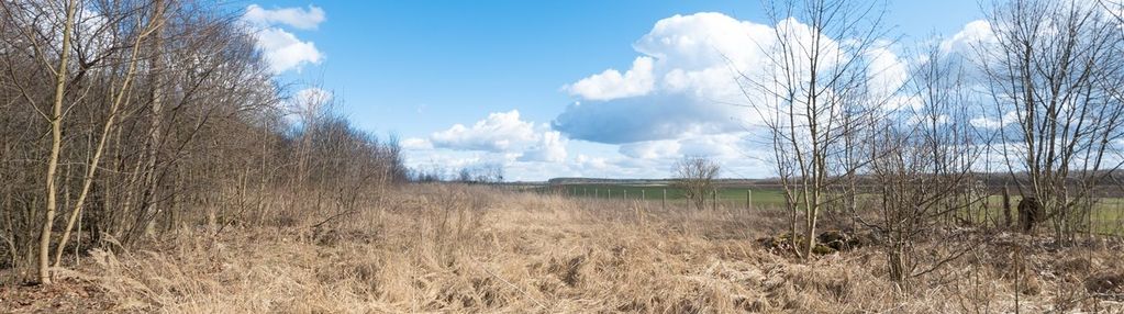 Działka z potencjałem! pokrzywnica gm. szydłowo!