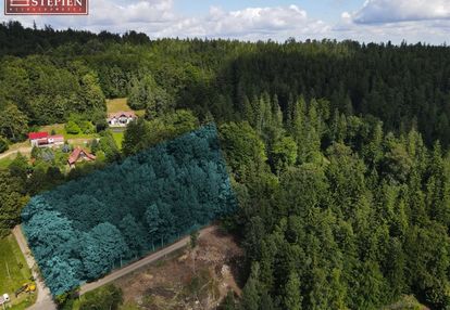 Działki z widokiem na pankoramę karkonoszy.