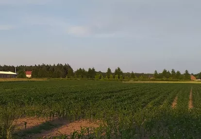 Działka na sprzedaż 2400m2