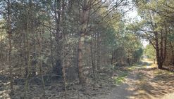 Kompleks 19 działek od 700 do 928 m w arciechowie