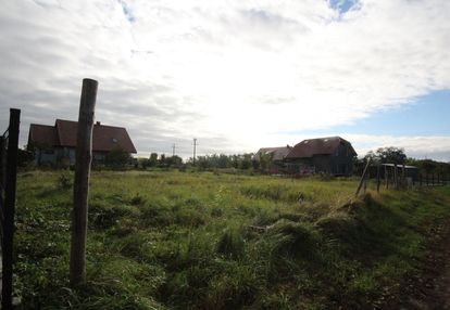 Okolice ul. pistacjowej