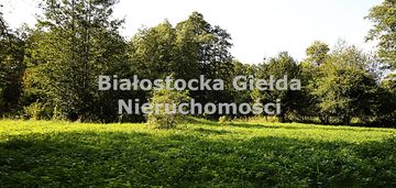 Działka budowana//klewinowo//z lasem