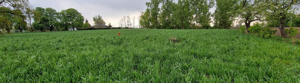 Działka rolna 896m2 nowa wieś gm. piotrków kuj.