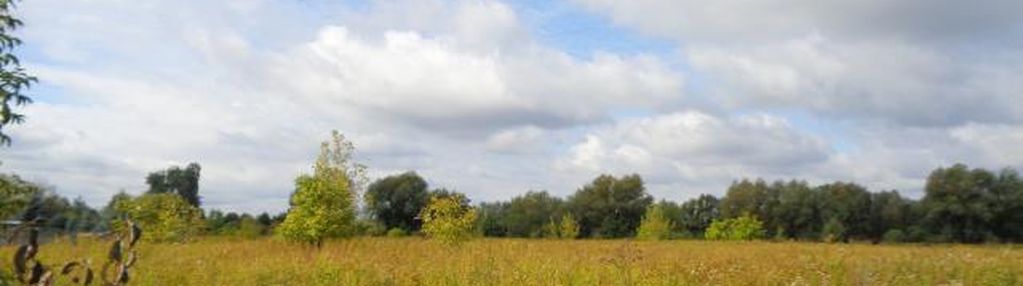 Działka w cząstkowie mazowieckim