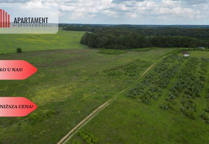 Działki w miradowie i bietowie. promocja do 15 lip