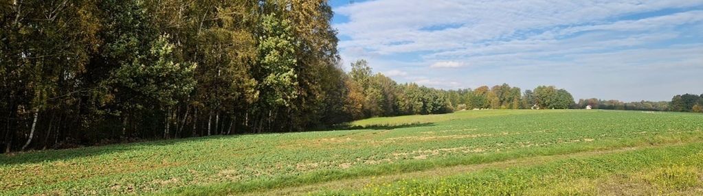 " działka rolna i las w gratisie "