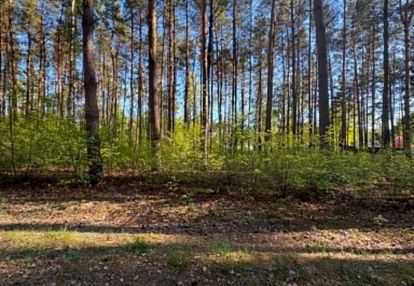 Działka w spokojnej okolicy, szerominek- płońsk.