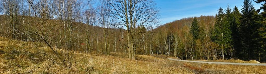Działka mieszkaniowo usługowa (pensjonat) juszczyn