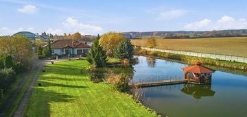 Parterowy dom na kociewskiej wsi, duża działka