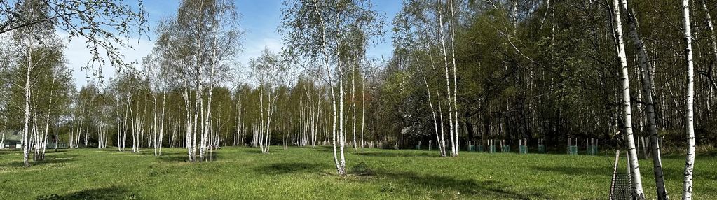 Działka mieszkaniowo-rekreacyjna o powierzchni 3753m2 w nowej wsi