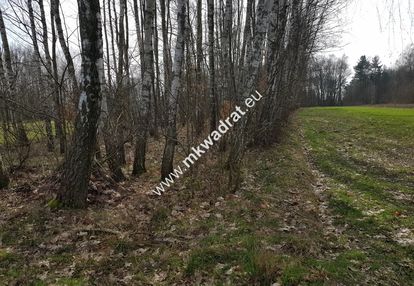 Borszyce gm.kowiesy działka 7 283 m