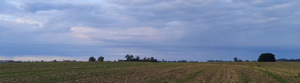 Działka w borkowicach-bliskość morza