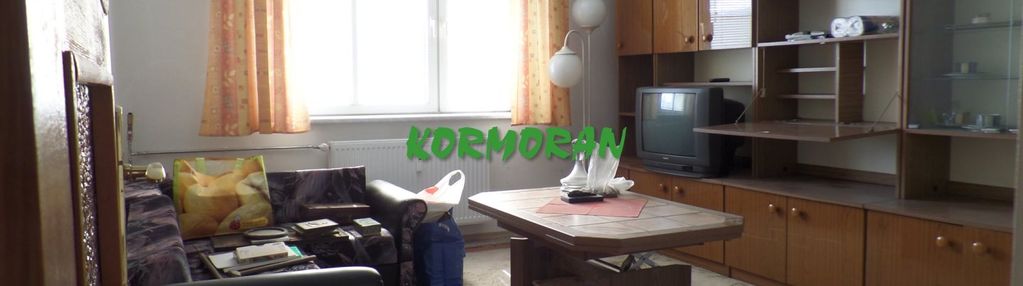 Mieszkanie do remontu