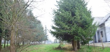 Działka budowlana 23a w bratkowicach