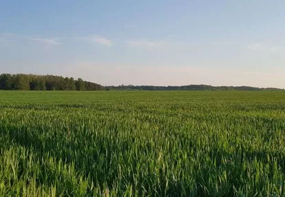 Dla studenta przy samej Politechnice Śląskiej