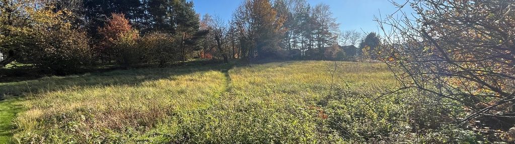 Dzałka 772 m2 -  rybnik popielówi