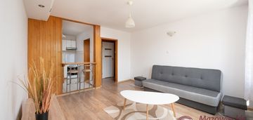 M-2 na wynajem-pólko