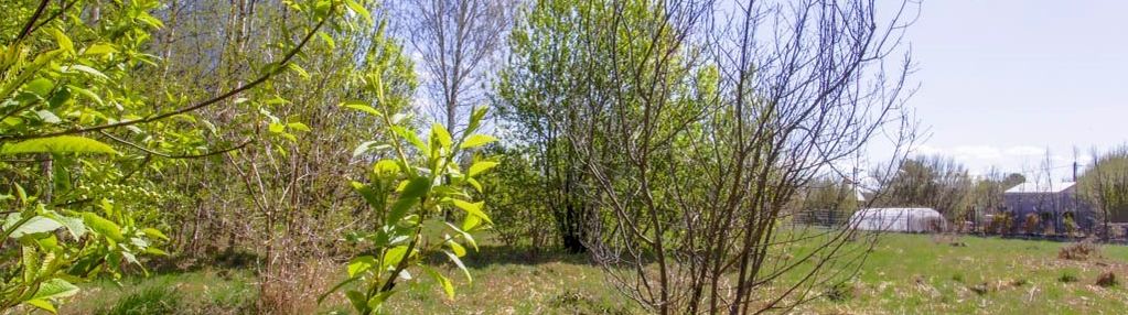 Działka budowlana z aktualnymi wz - skrybicze