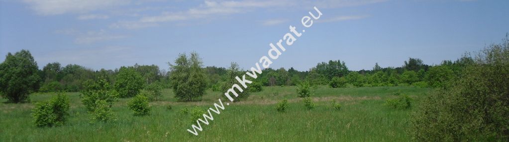 Oaza ciszy i spokoju