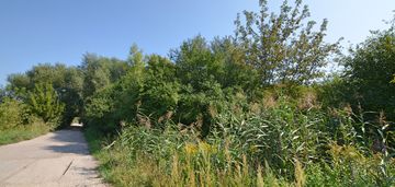 Działka 1800 m2 przy jeziorze dziekanowskim