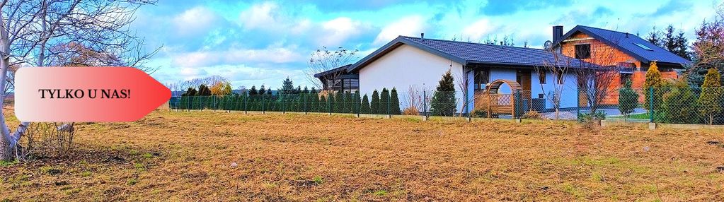 Dziemionna 1067m2 plan mpzp