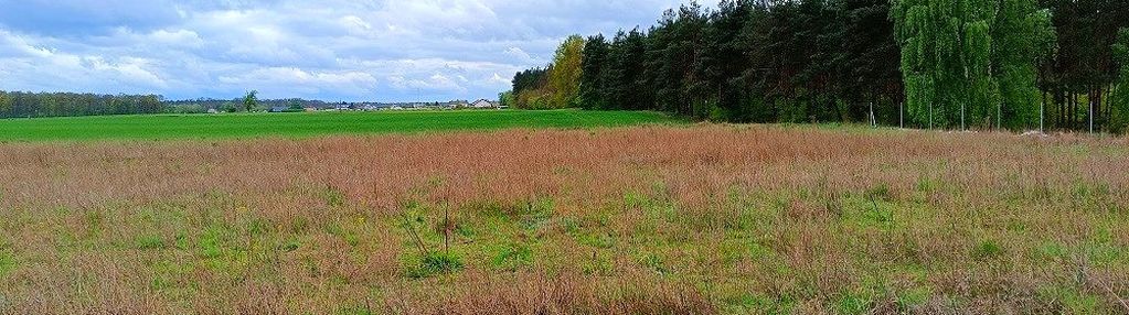 Morzewiec 1022m cisza spokój ściana lasu