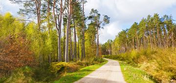 Działka o powierzchni 5524 m2- 12km od kołobrzegu