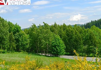 Działka budowlana, 3 km od wałbrzycha - promocja!