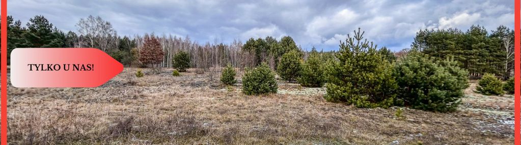 Tylko u nas! działka-krąplewice-las-3229m2