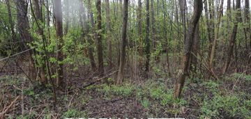 Działka budowlana lipowo