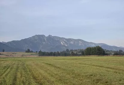 Zakopane Bachledzki Wierch