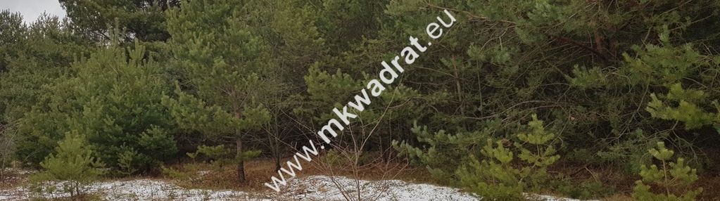Działka 4000 m² - usługowo-budowlana mpzp!
