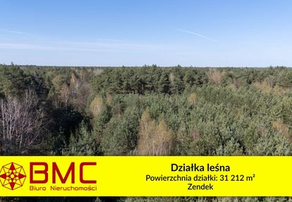 Działka leśna zendek