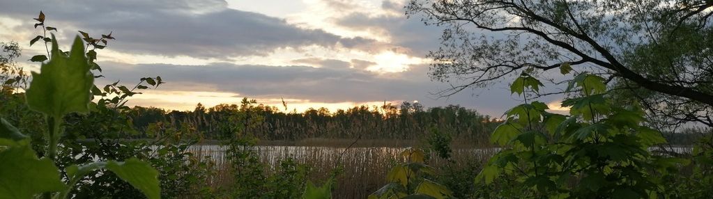 Dla dewelopera w pobliżu jeziora strykowskiego