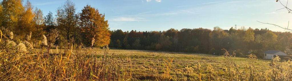 Działka budowlana przy lesie- ul. młyńska