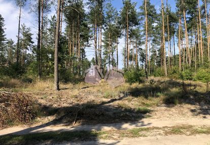 Działka w lesie z pozwoleniem na budowę