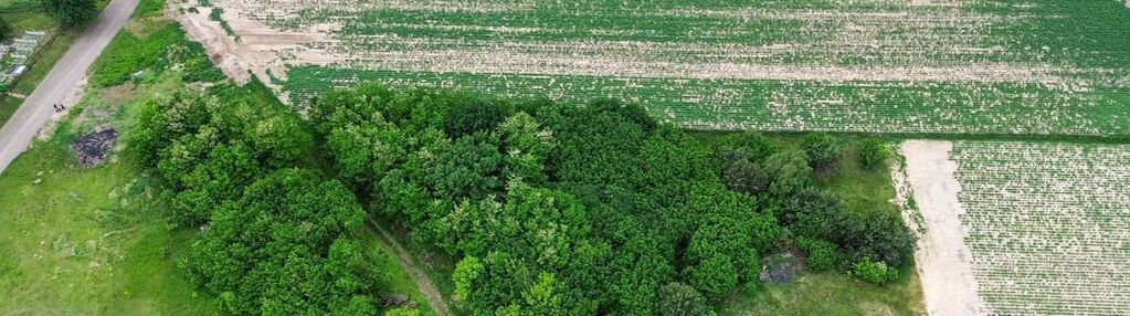 Działka budowlana 3403 m² gm. teresin mpzp, media