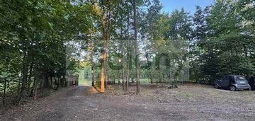 Działka na granicy złotokłosu i henrykowa