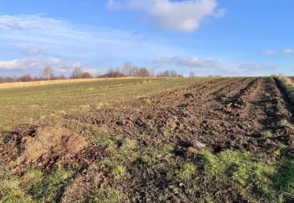 Działka na sprzedaż 1000m2