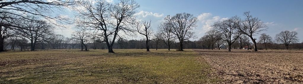 Działka 7500 m2 30 km od warszawy, rzeka, las