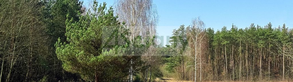 Duża działka z możliwością podziału w ojrzanowie