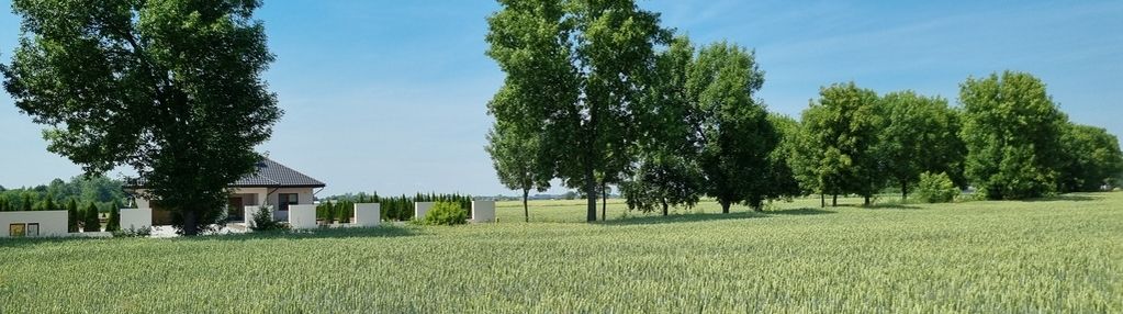 Działka budowlana 12 ar jarosław łazy kostkowskie