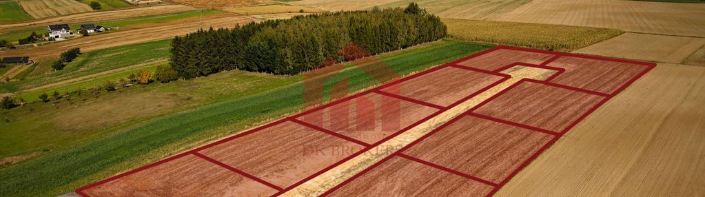 Działki siedliskowe,2 km sędziszów młp, full media