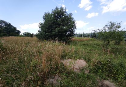 Ładnie położona działka w zawoni koło trzebnicy