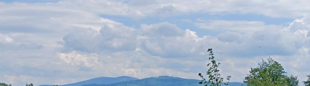 Widok na góry , piękny drzewostan. przy lesie !
