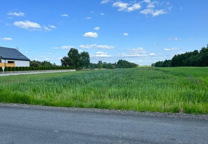 Duża działka na sprzedaż/lubojna/spokojna okolica