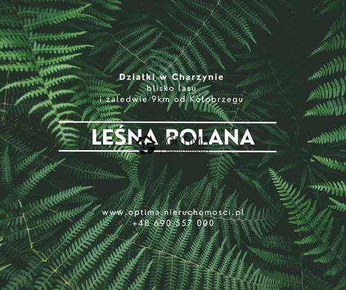 Działka z widokiem na las, obok vilpark